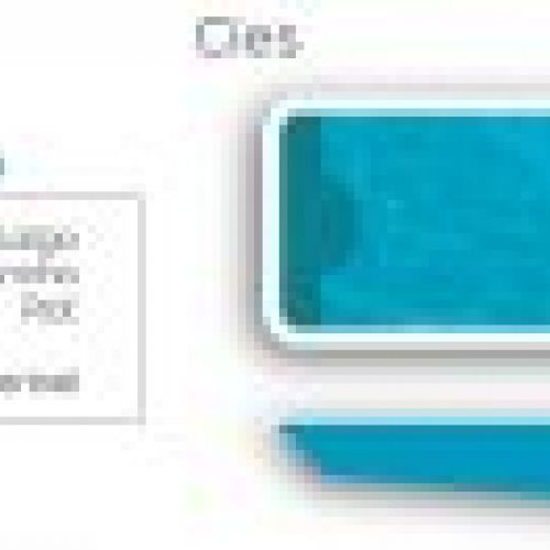 cies ficha