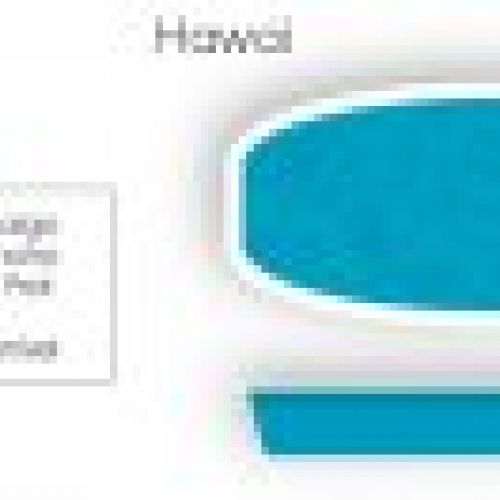hawai ficha