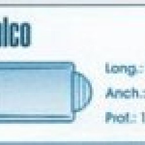 acapulco b